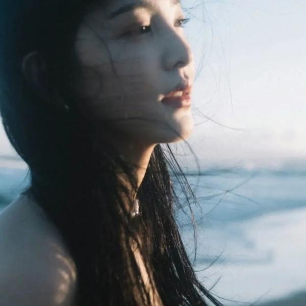网中的太阳